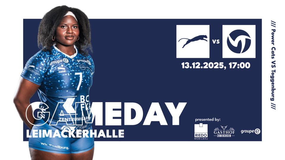 Poster of Volleyball, NLA Frauen: Volley Düdingen – Raiffeisen Volley Toggenburg