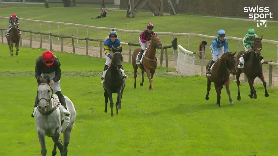 Poster Herbst-Renntag, Dielsdorf