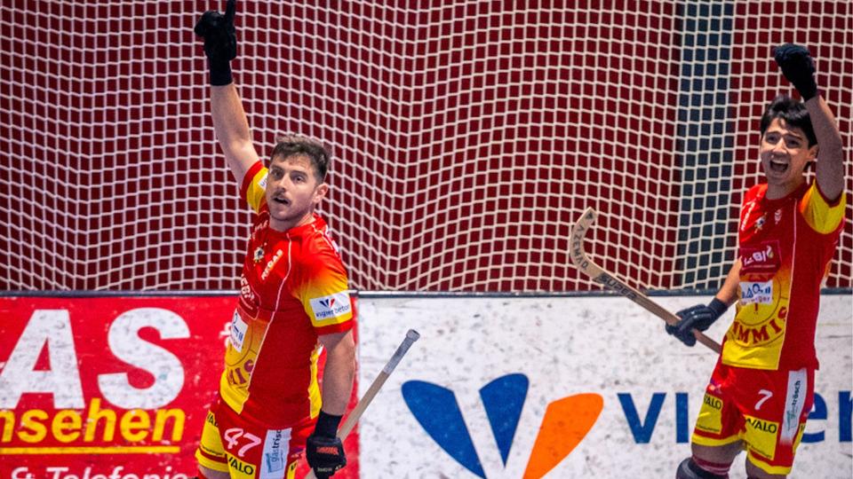 Poster Rollhockey NLA - Qualifikation: Genève RHC vs. RHC Wimmis