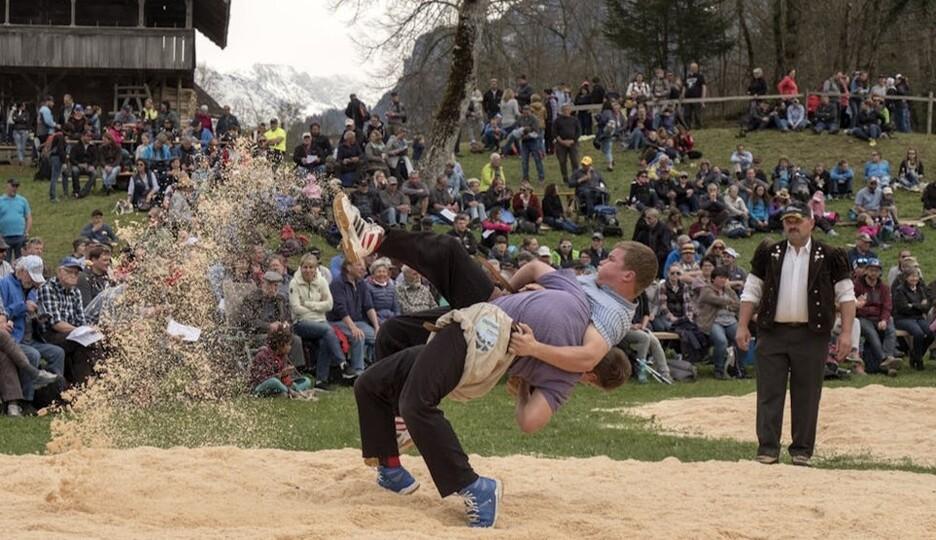 Poster Ballenberg-Schwinget Hofstetten bei Brienz
