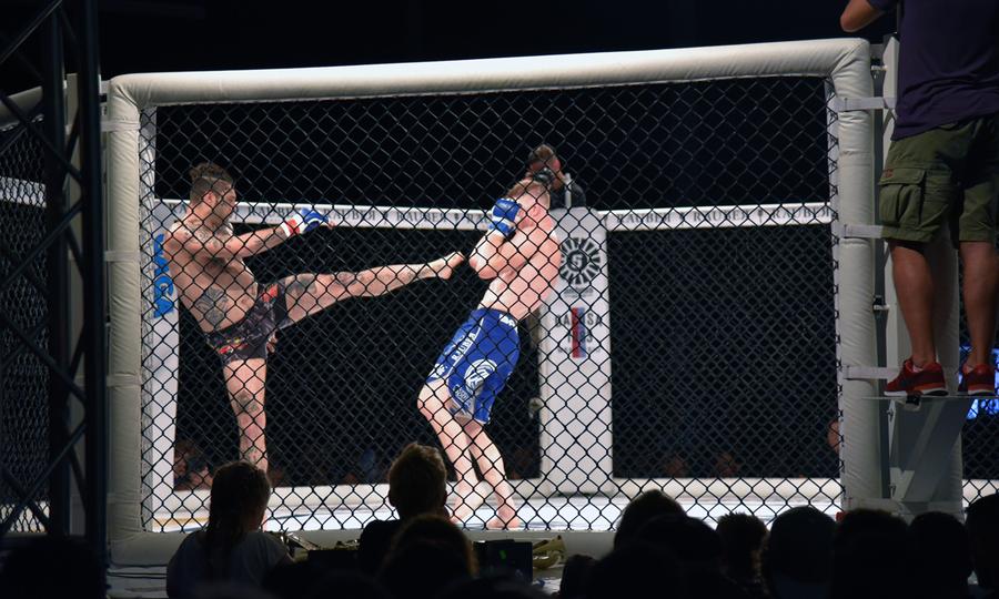 Poster Kampfsport: MMA Fight Night Zürich