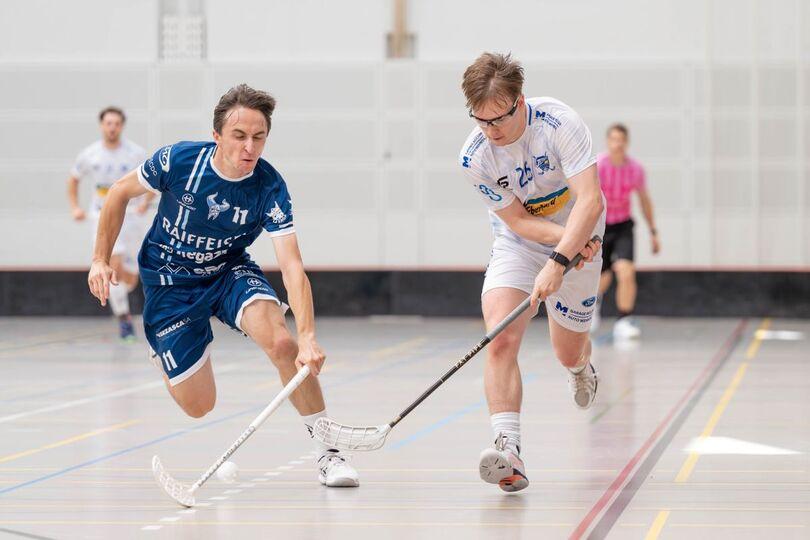 Poster of Unihockey: Nationalliga B, Männer, UHC Sarganserland vs. Unihockey Basel Regio
