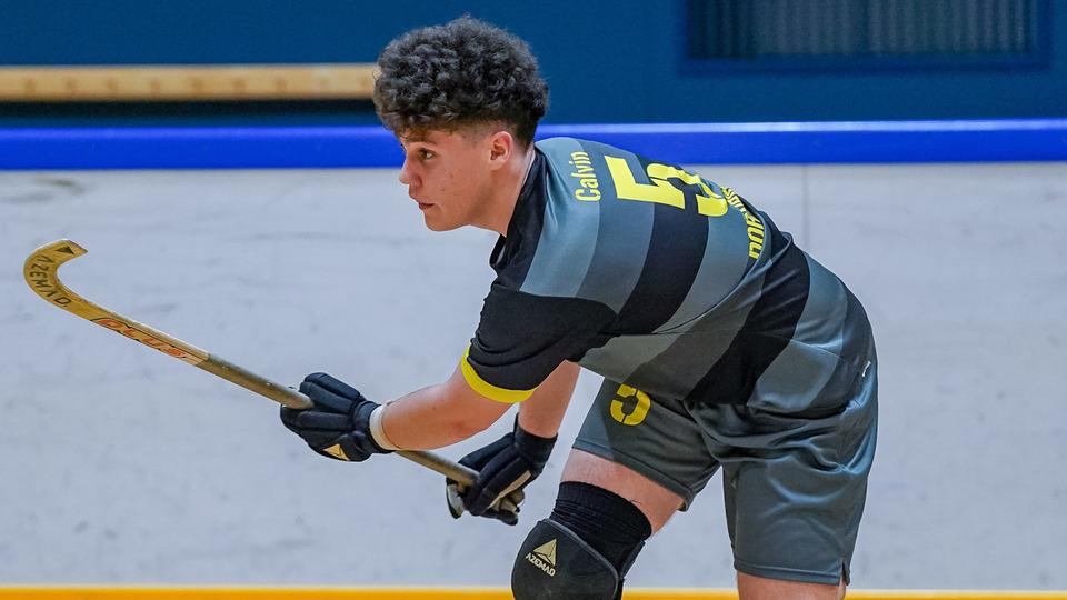 Poster Rollhockey NLB - Playoff: RHC Dornbirn vs. RHC Vordemwald